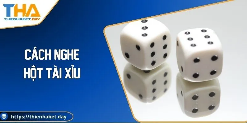 Bí Quyết Cách Nghe Hột Tài Xỉu Chuẩn Xác Như Cao Thủ