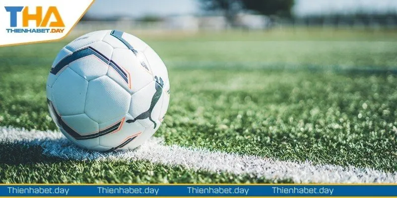 diem danh loat xien bong da pho bien tai nha cai Điểm danh loạt cách tính xiên bóng đá phổ biến tại nhà cái