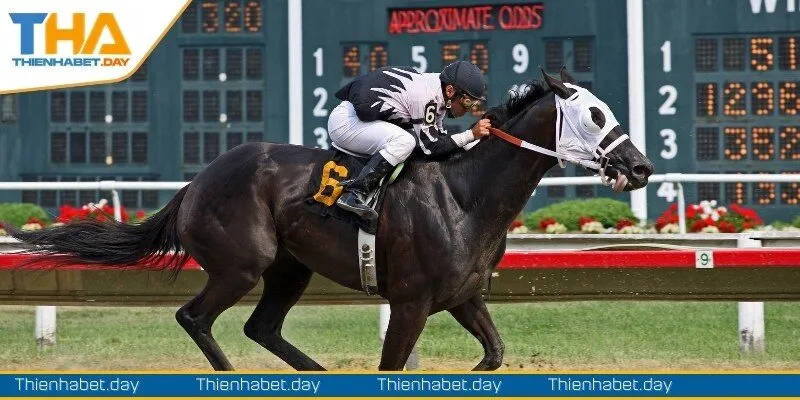 kinh nghiem bat bai khi tham gia ca cuoc Kinh nghiệm bất bại khi tham gia cá cược