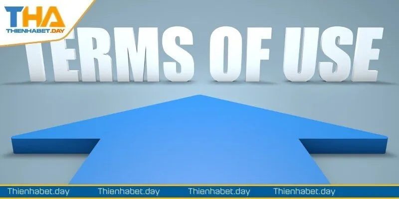 Tìm hiểu nội dung điều khoản sử dụng của nền tảng